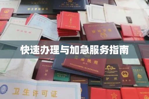 小金快速办理与加急服务指南