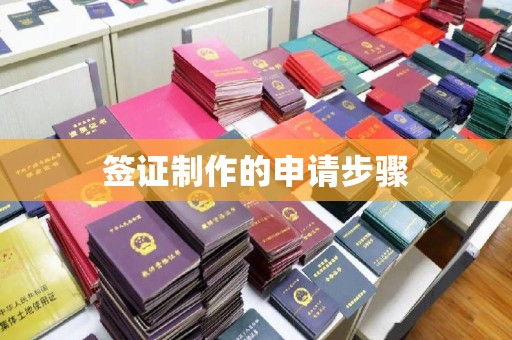 小金签证制作的申请步骤