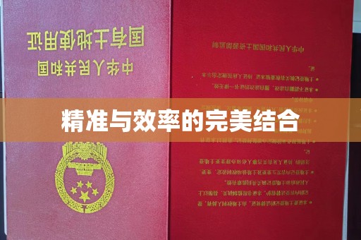 小金精准与效率的完美结合
